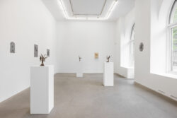 Exhibition Anna Bohman Gallery